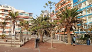 GC-Paseo Las Canteras (Las Palmas) 2026-180.jpg